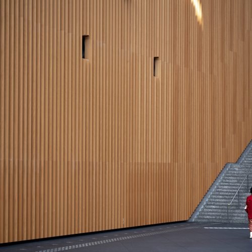 person-traveling-trought-city